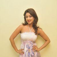 Payal Ghosh New Hot Photo Shoot Stills | Picture 113801